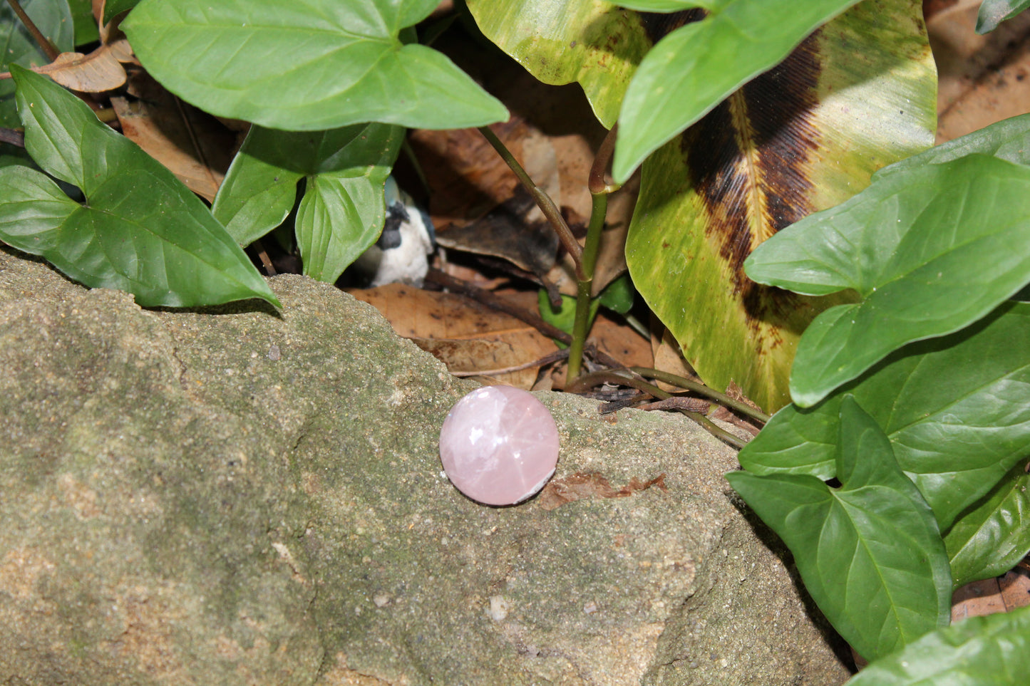 Sphere - Rose Quartz - sml