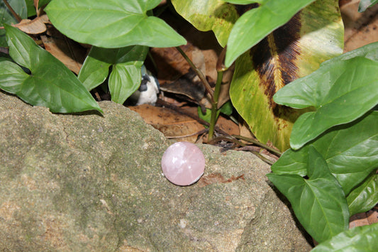 Sphere - Rose Quartz - sml