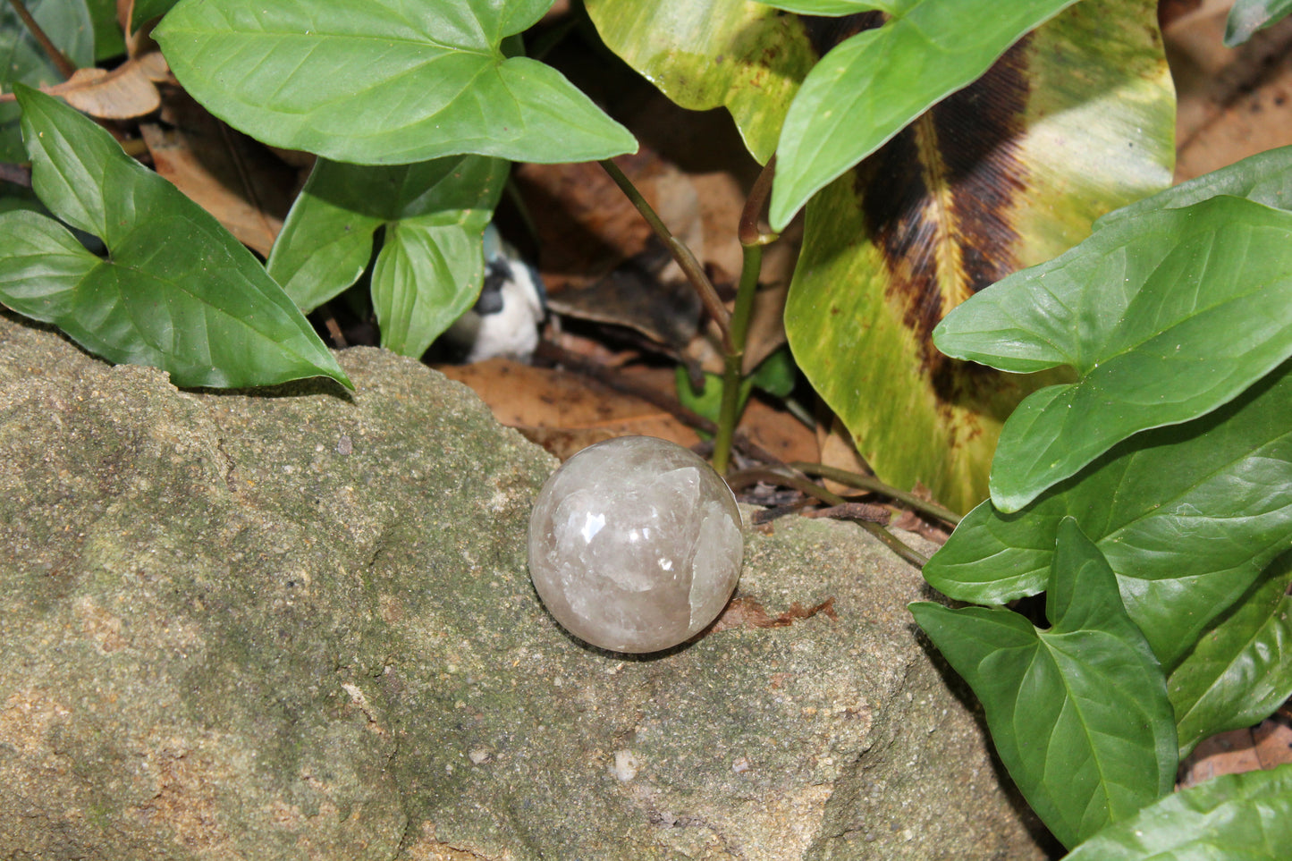 Sphere - Smoky Quartz - sml/med
