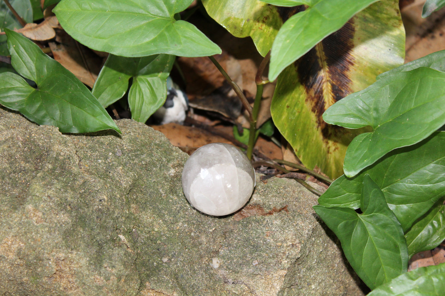Sphere - Smoky Quartz - med