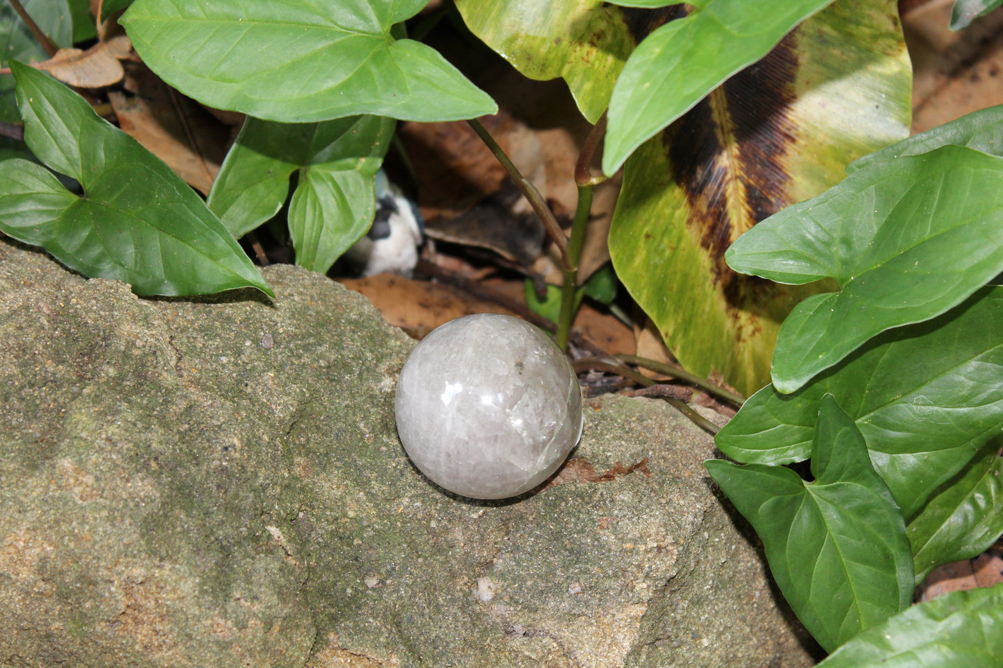 Sphere - Smoky Quartz - med