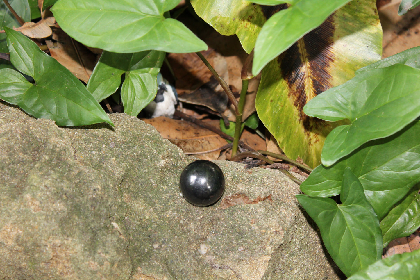 Sphere - Shungite - sml