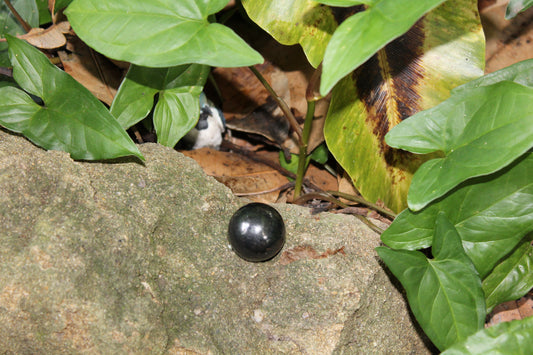 Sphere - Shungite - sml