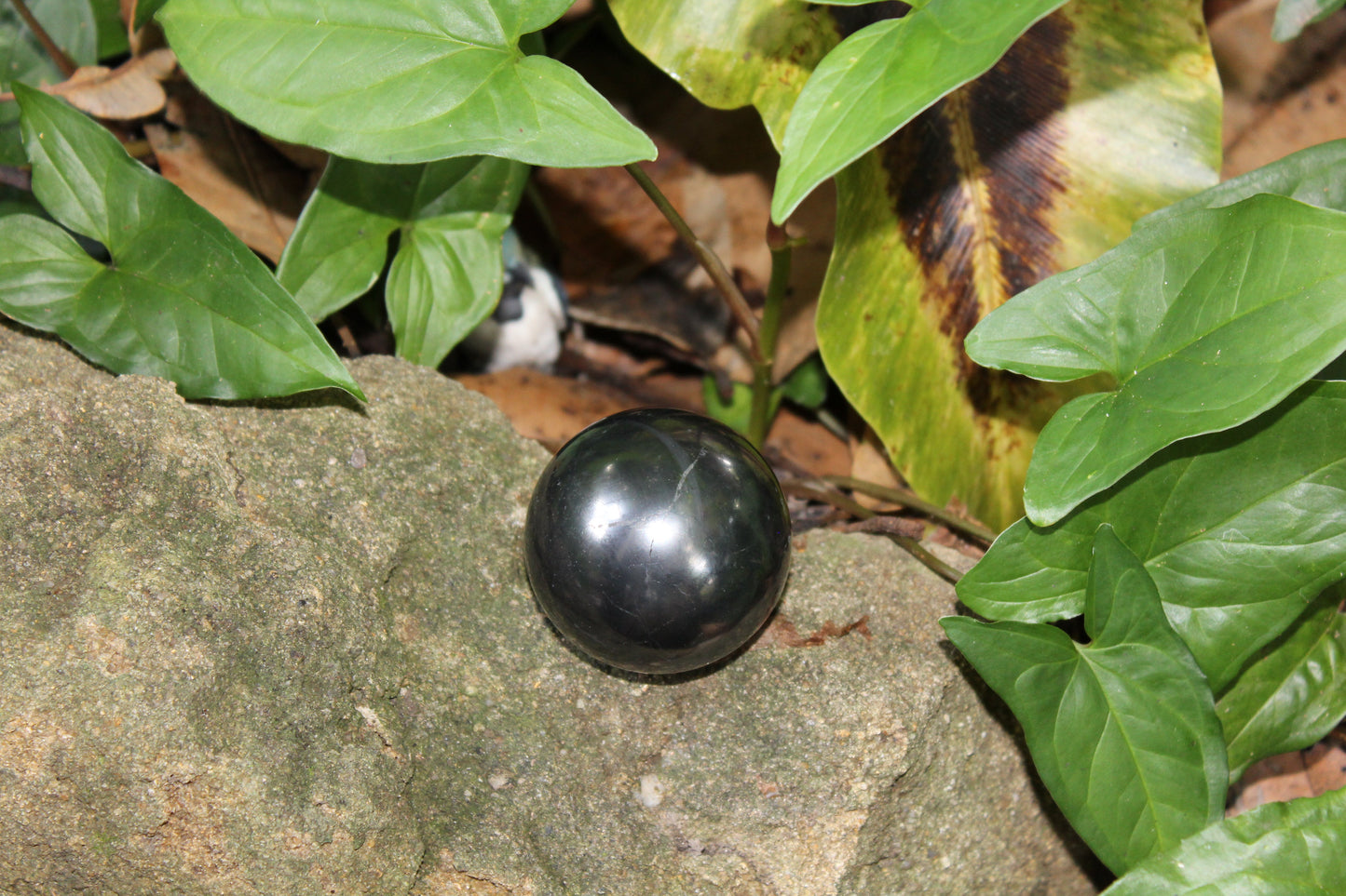 Sphere - Shungite - med/lge