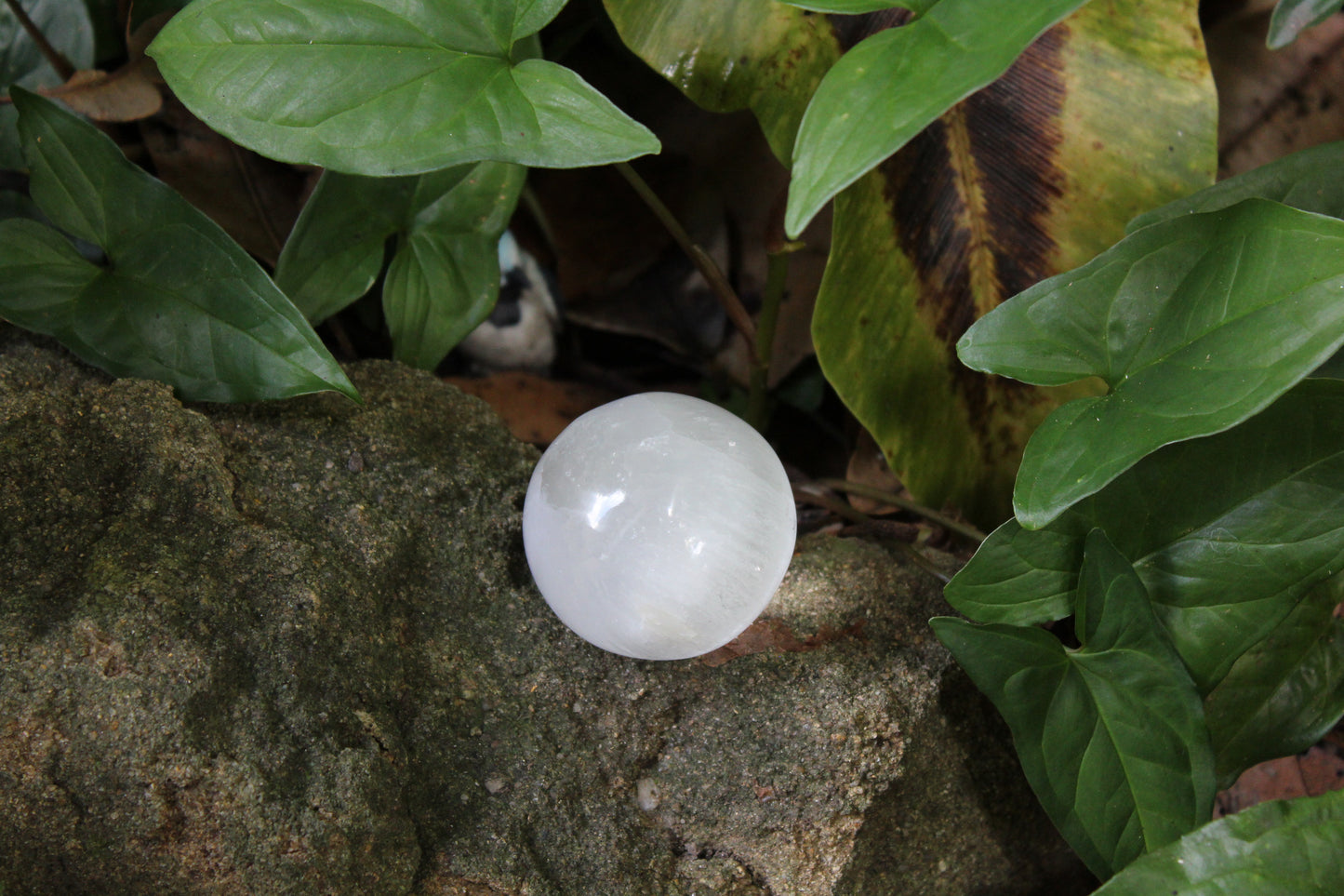 Sphere - Selenite - sml