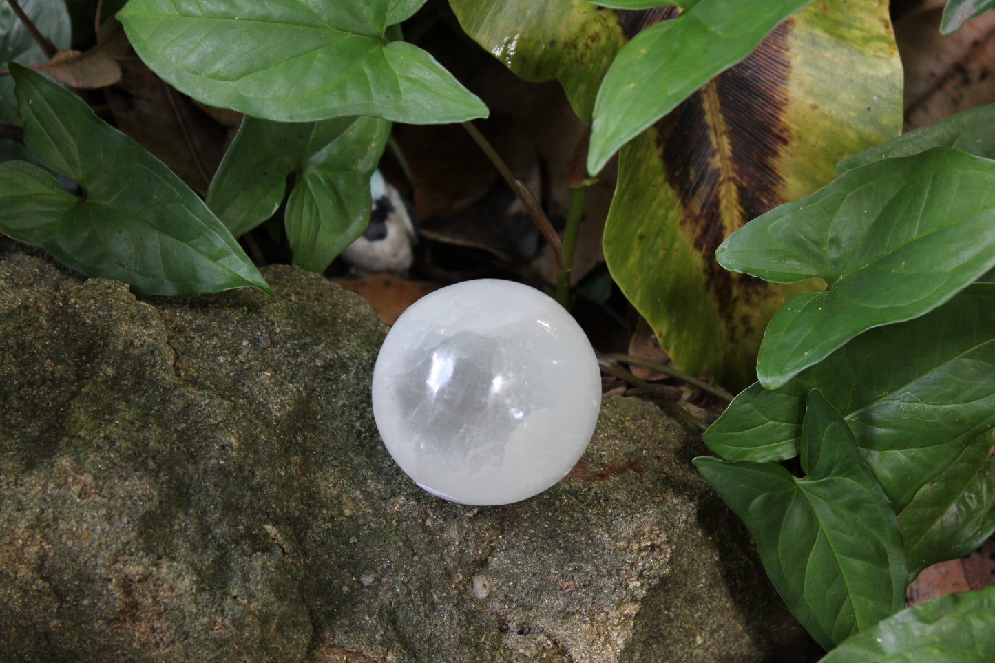 Sphere - Selenite - med