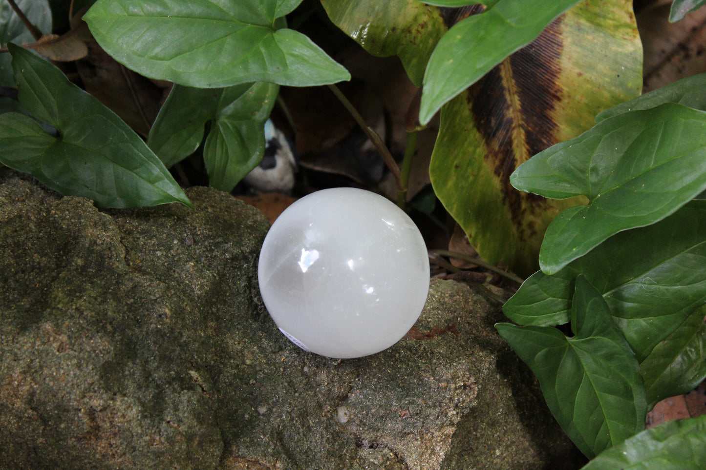 Sphere - Selenite - med