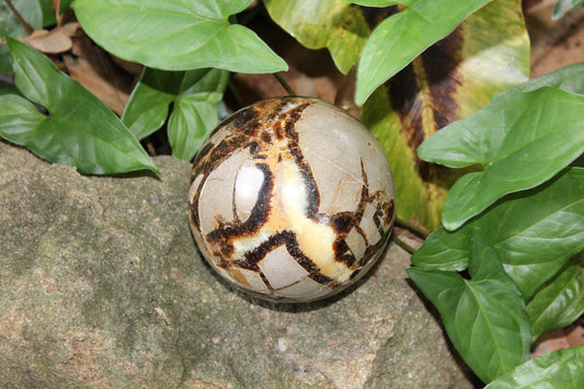 Sphere - Septarian - xlge