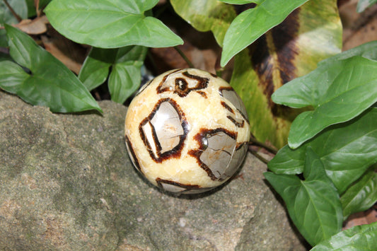 Sphere - Septarian - xlge