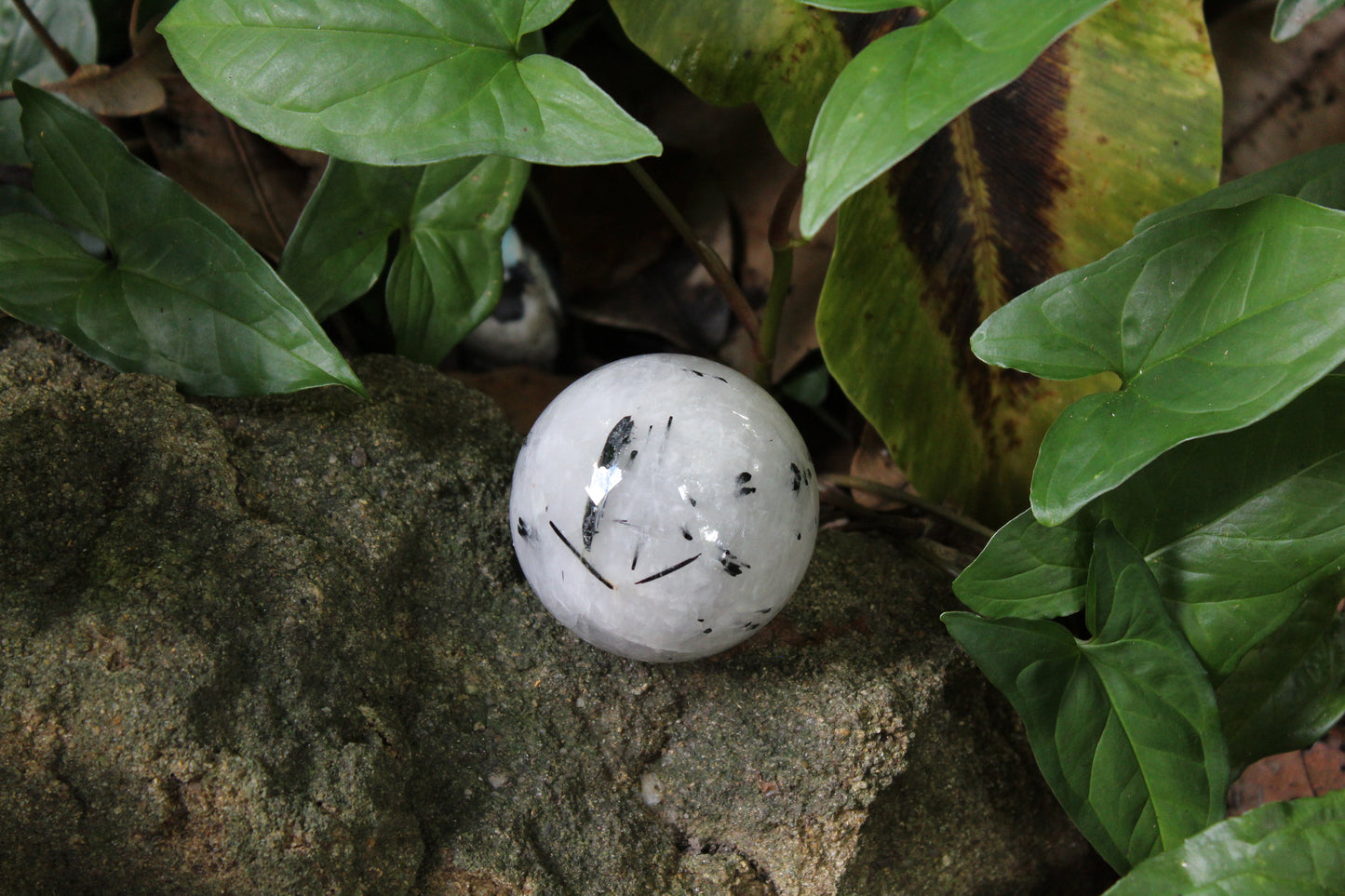 Sphere - Tourmalinated Quartz - med/lge