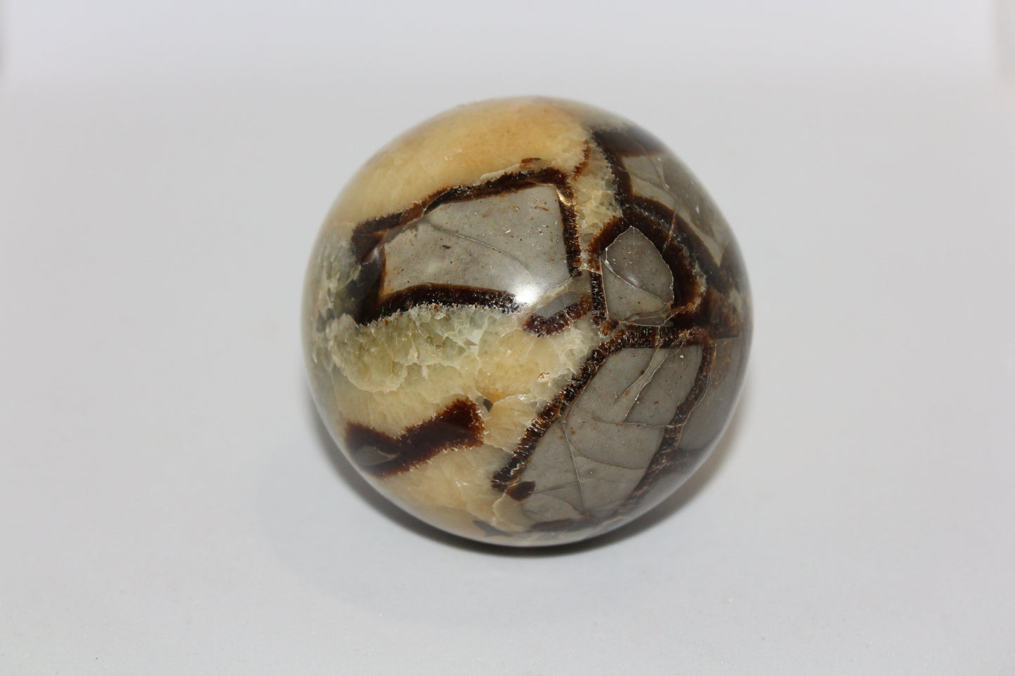 Sphere - Septarian - lge