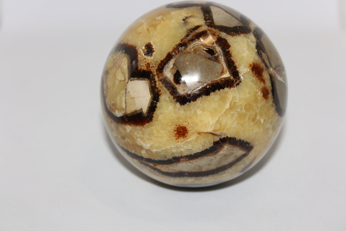 Sphere - Septarian - xlge