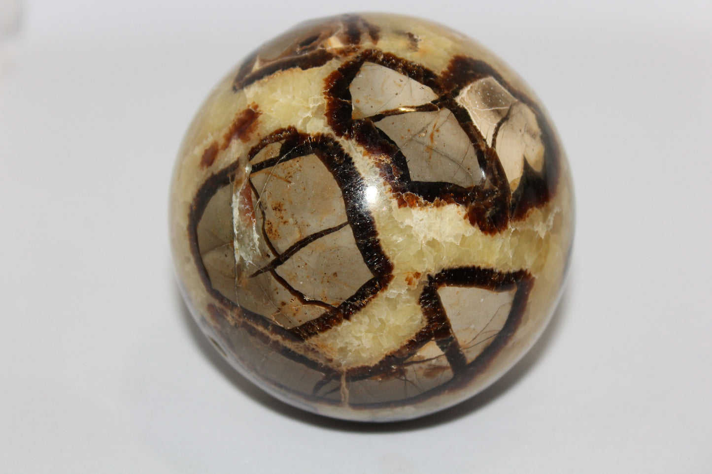 Sphere - Septarian - xlge