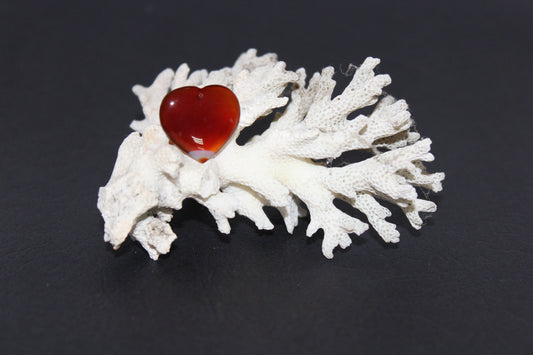 Heart - Carnelian - xsml