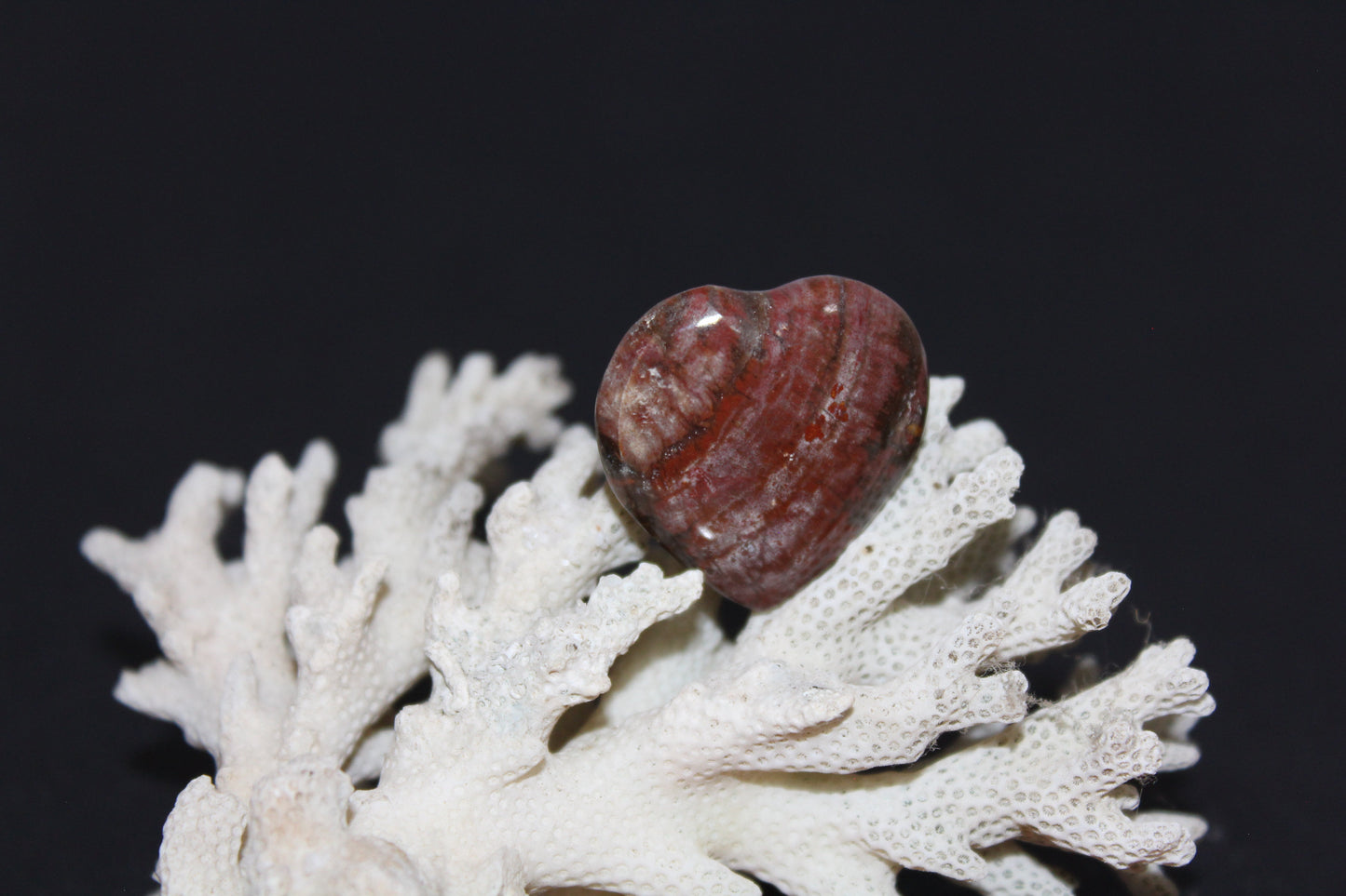 Heart - Jasper - xsml