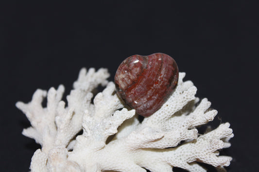 Heart - Jasper - xsml