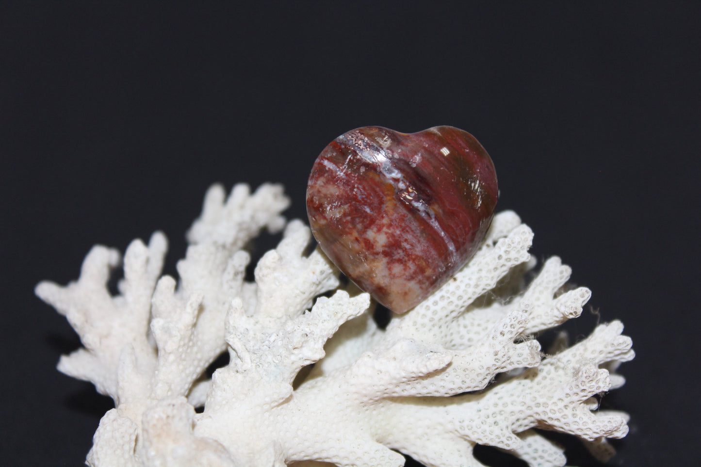 Heart - Jasper - sml