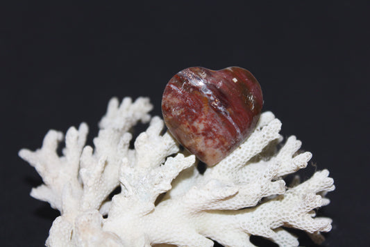 Heart - Jasper - sml