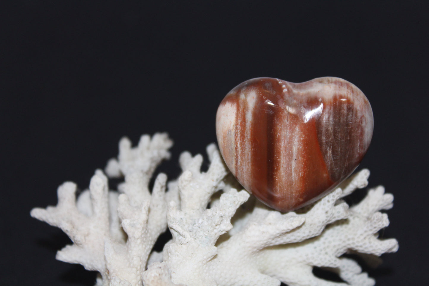 Heart - Jasper - sml/med