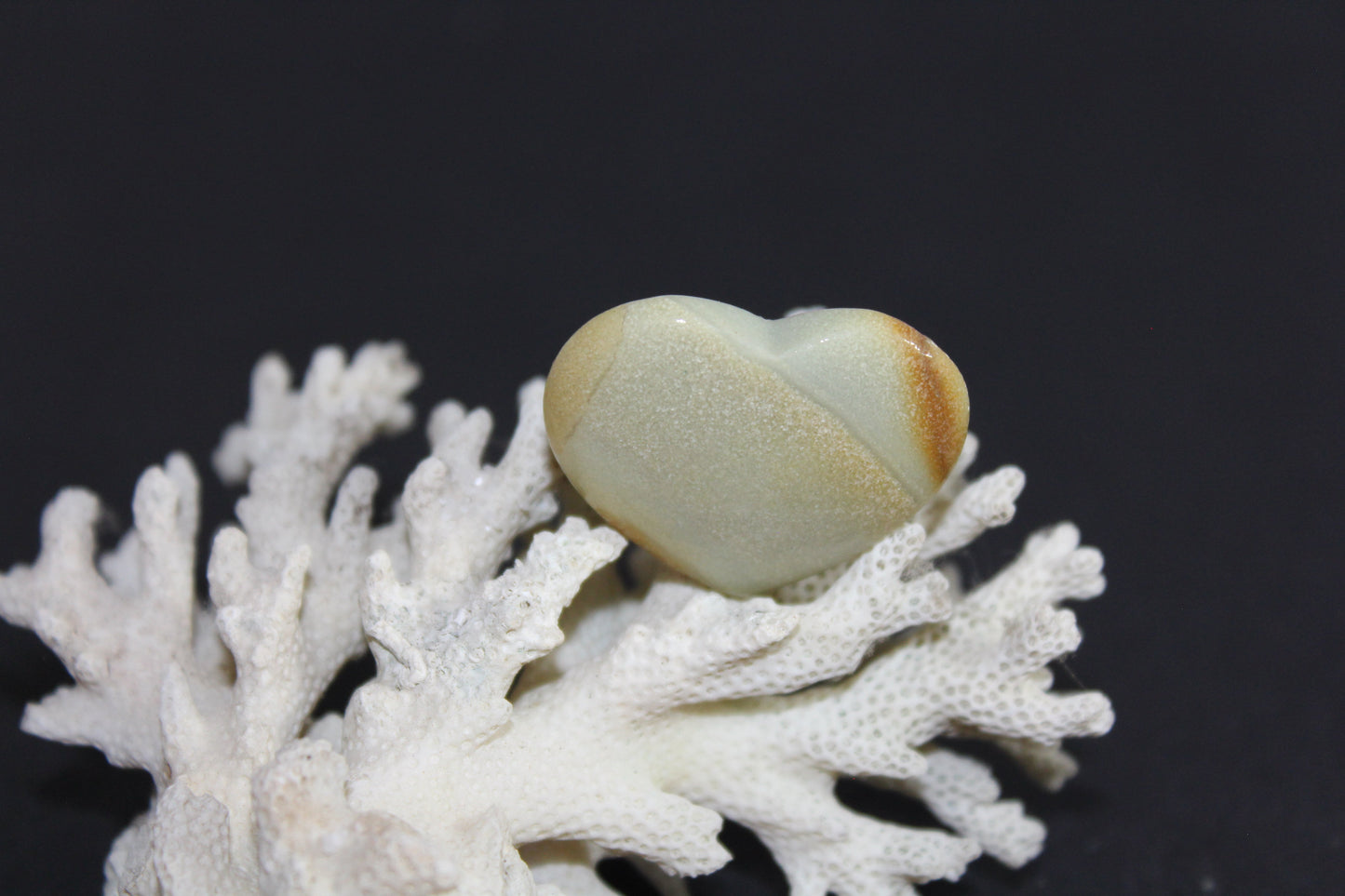 Heart - Polychrome Jasper