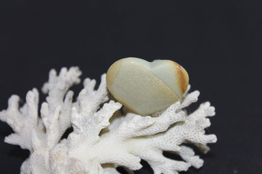 Heart - Polychrome Jasper