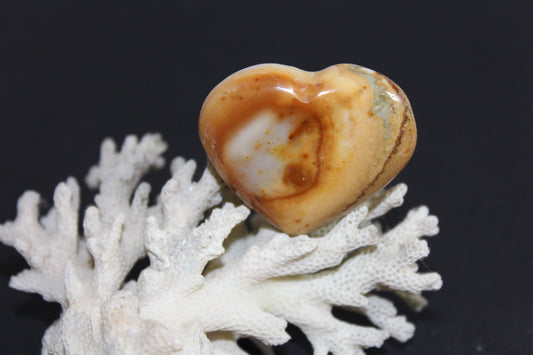 Heart - Polychrome Jasper