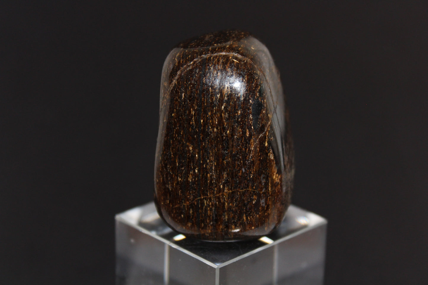 Large Tumble - Bronzite