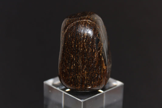 Large Tumble - Bronzite