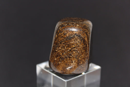 Large Tumble - Bronzite