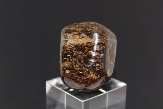 Large Tumble - Bronzite