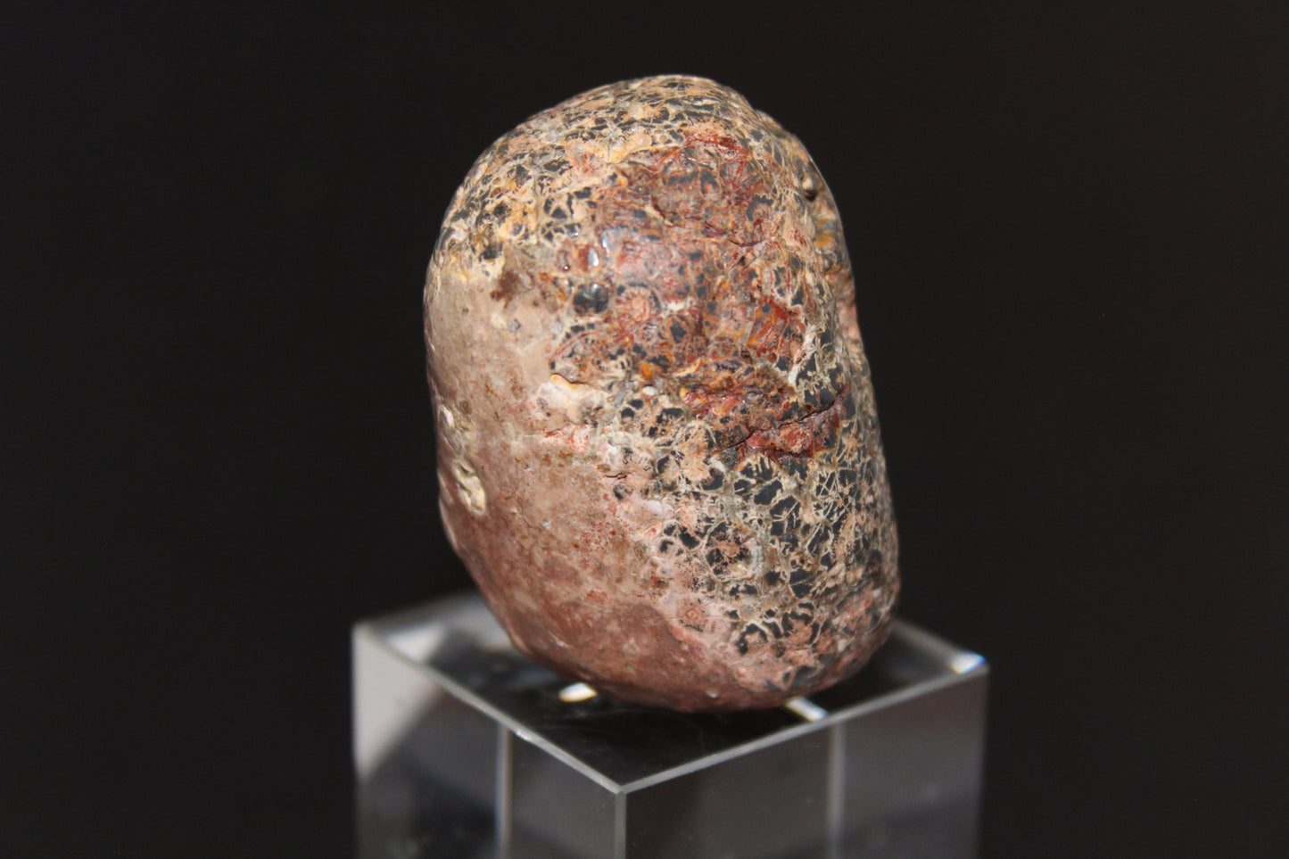 Large Tumble - Leopardskin Jasper