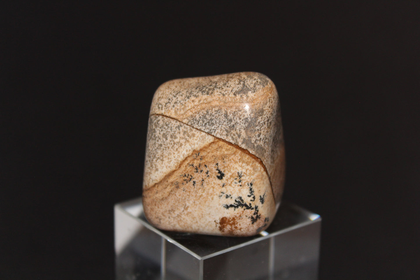 Large Tumble - Picture Jasper