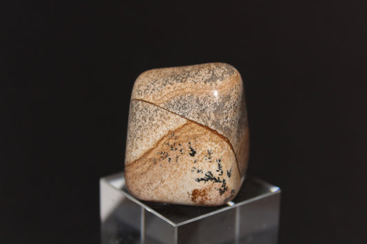 Large Tumble - Picture Jasper