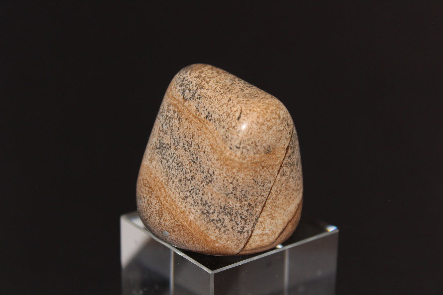 Large Tumble - Picture Jasper