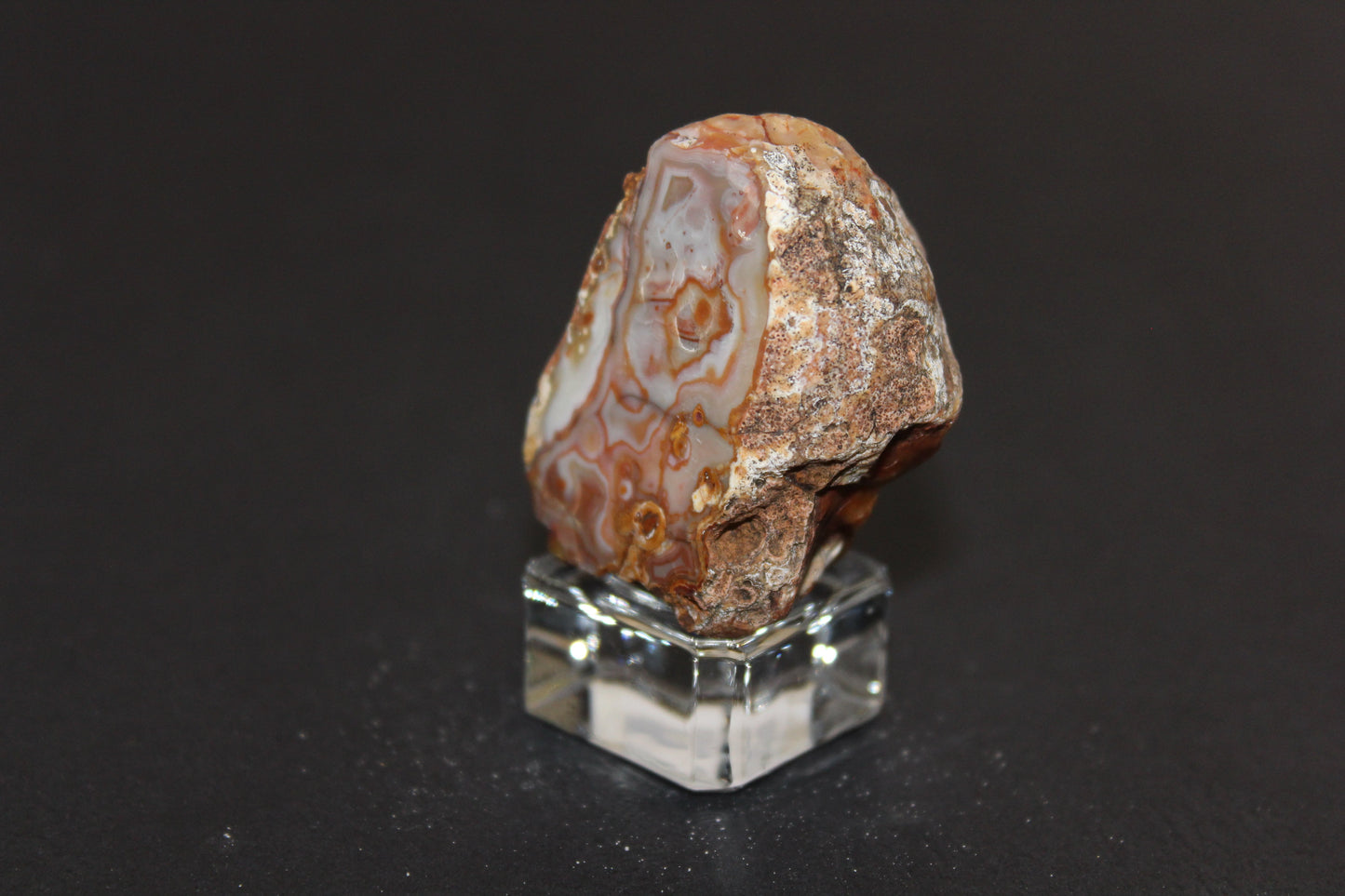 Windowed - Crazy Lace