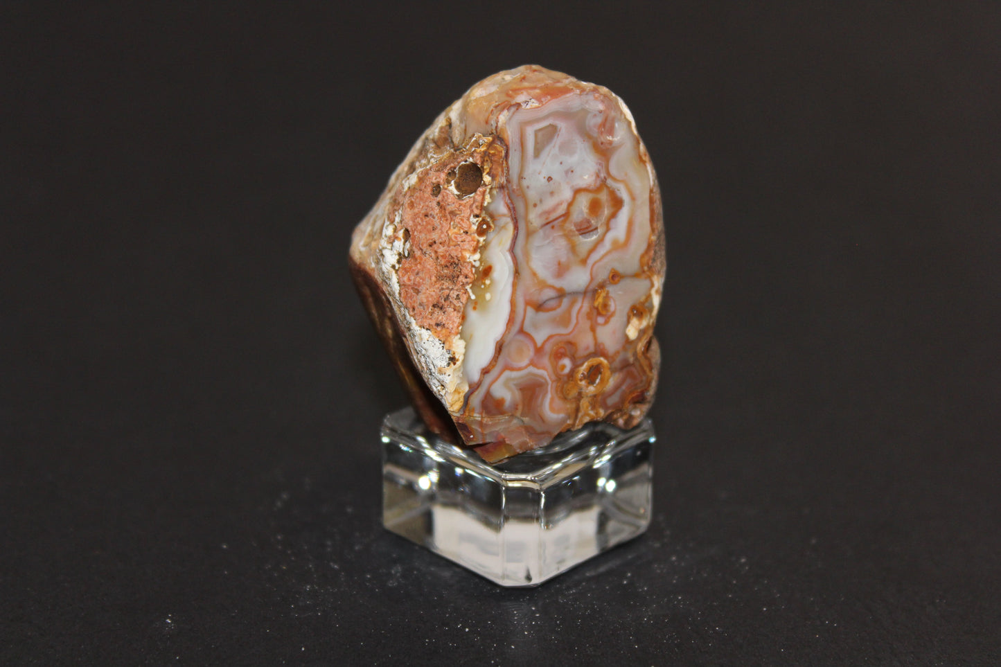 Windowed - Crazy Lace