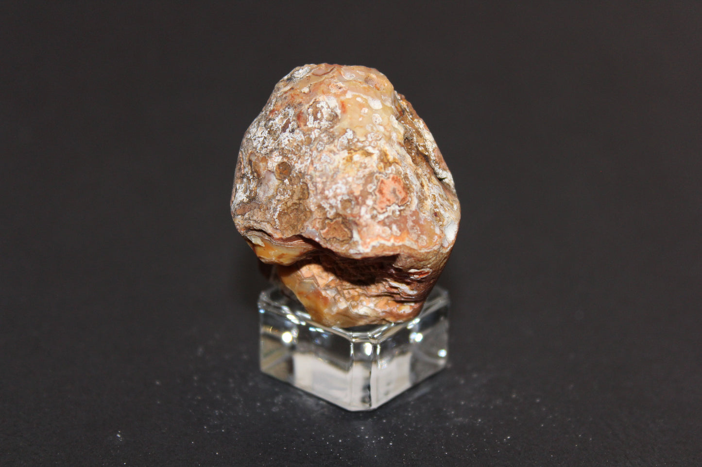 Windowed - Crazy Lace