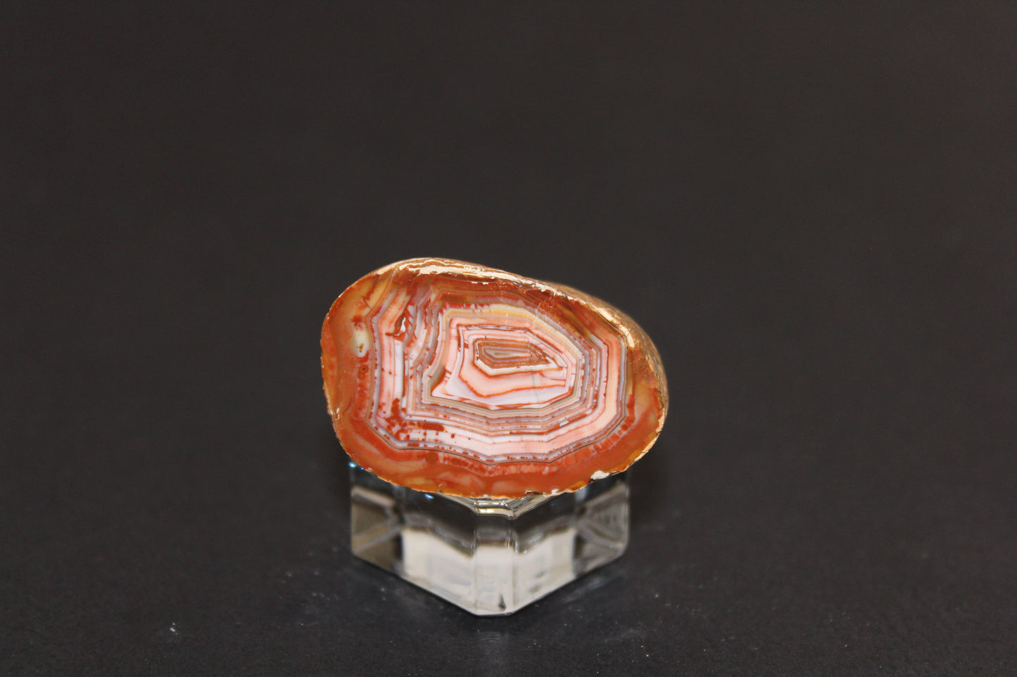 Windowed - Crazy Lace