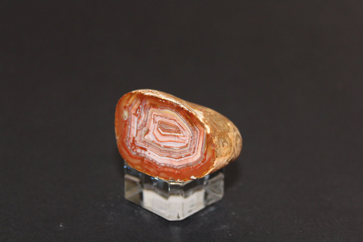 Windowed - Crazy Lace