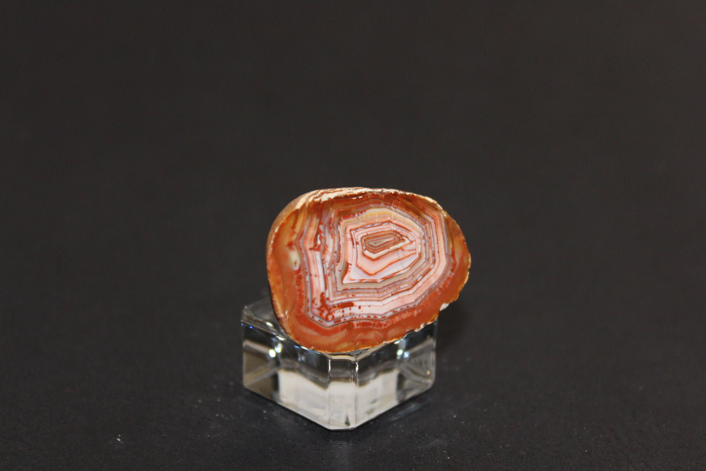 Windowed - Crazy Lace