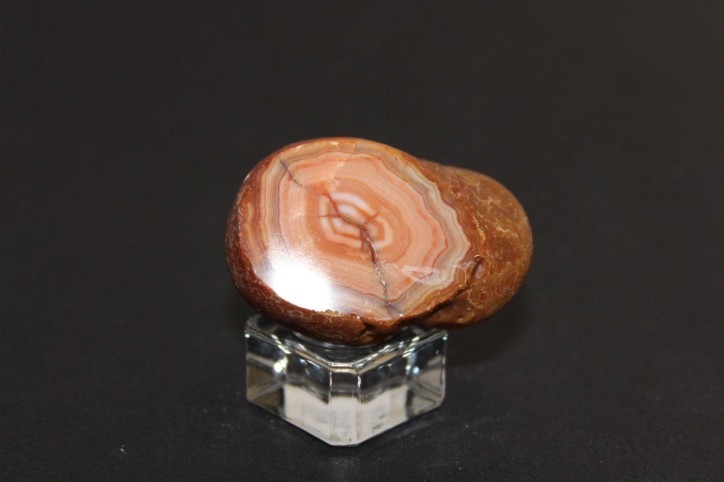 Windowed - Crazy Lace