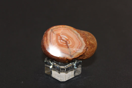 Windowed - Crazy Lace