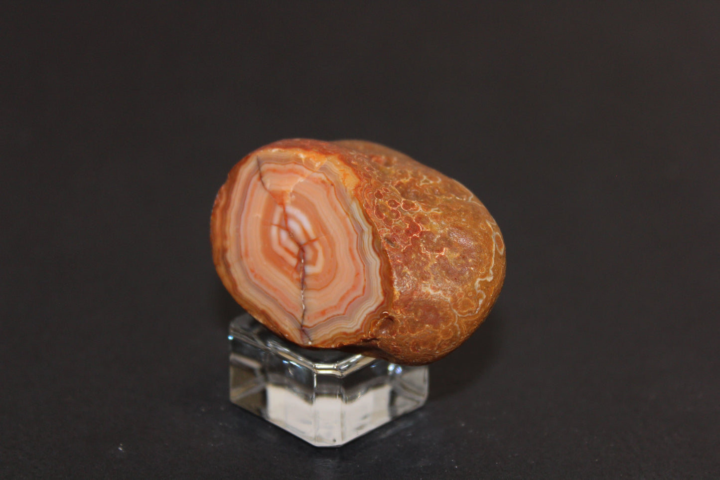 Windowed - Crazy Lace