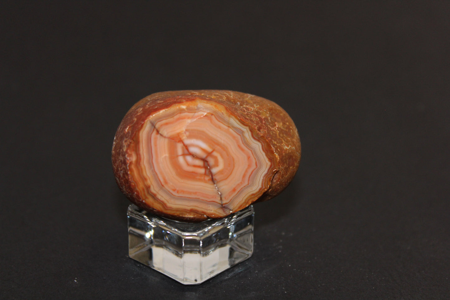 Windowed - Crazy Lace