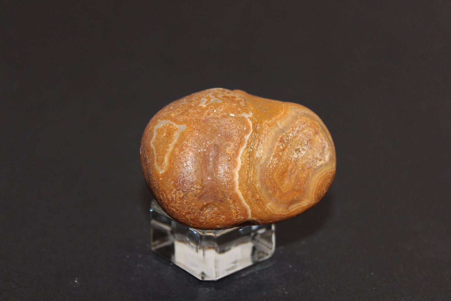 Windowed - Crazy Lace