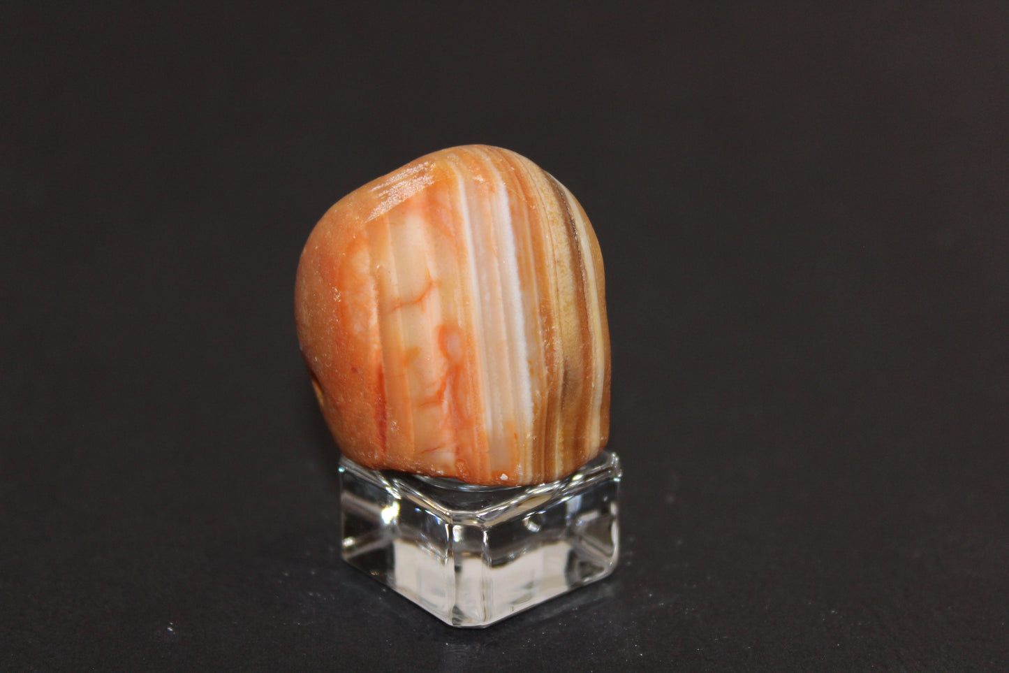 Windowed - Crazy Lace