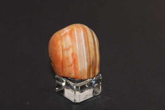 Windowed - Crazy Lace