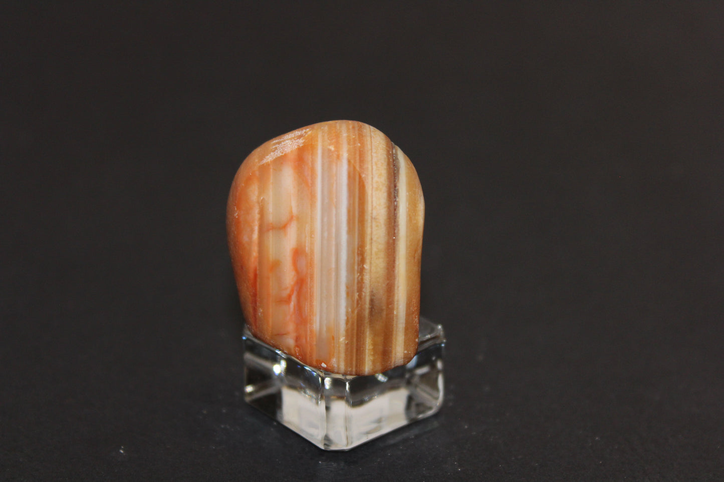 Windowed - Crazy Lace