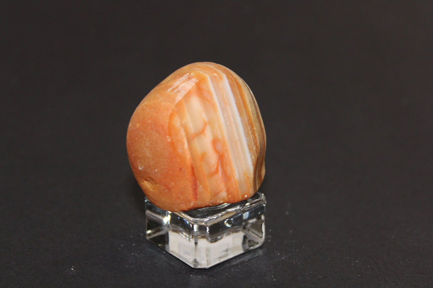 Windowed - Crazy Lace