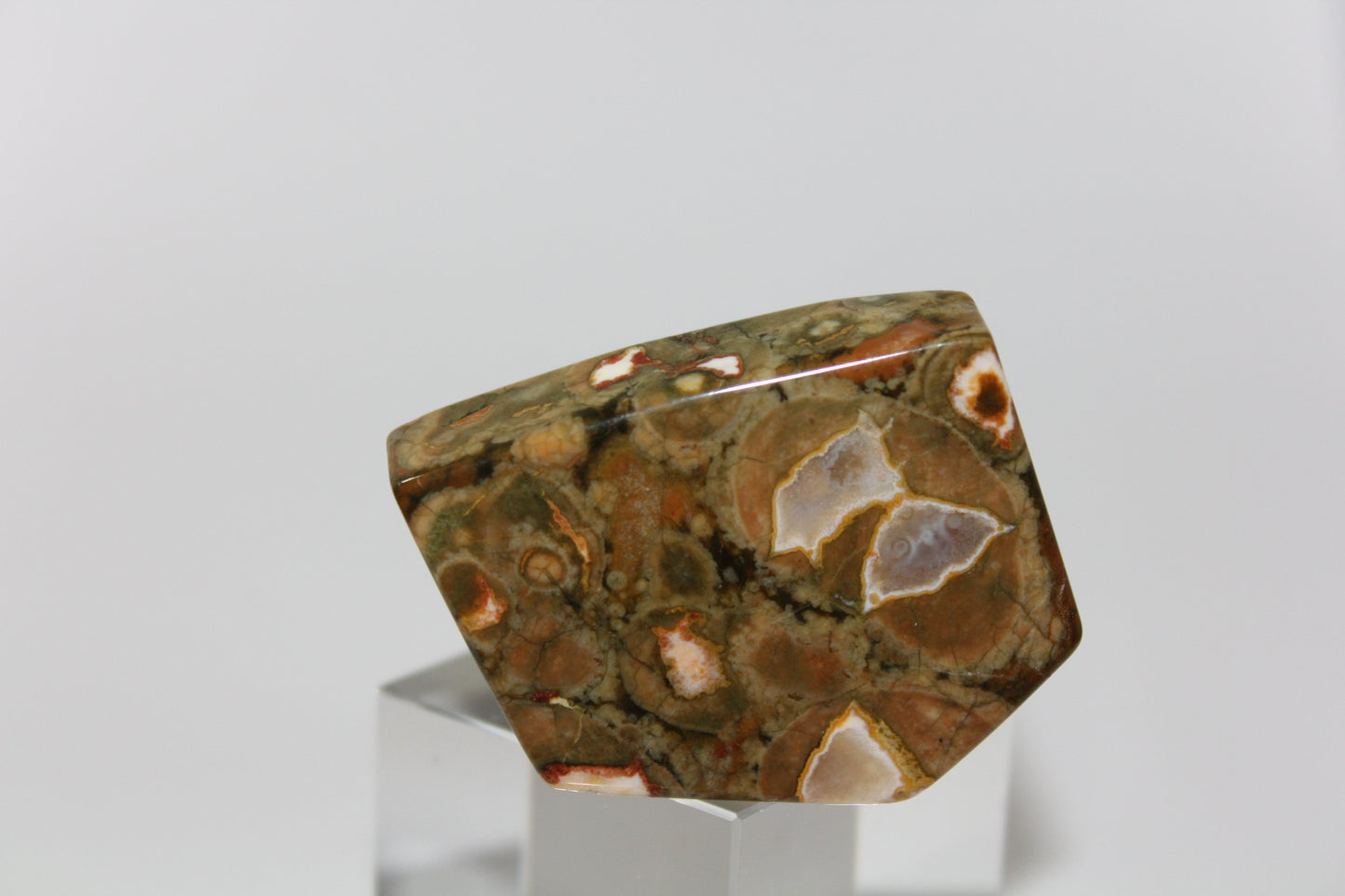 Slab - Rainforest Jasper